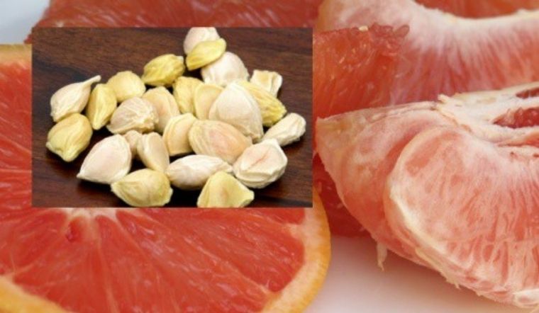 Cô gái chỉ cách dùng hạt bưởi để dưỡng tóc cực đỉnh tại nhà