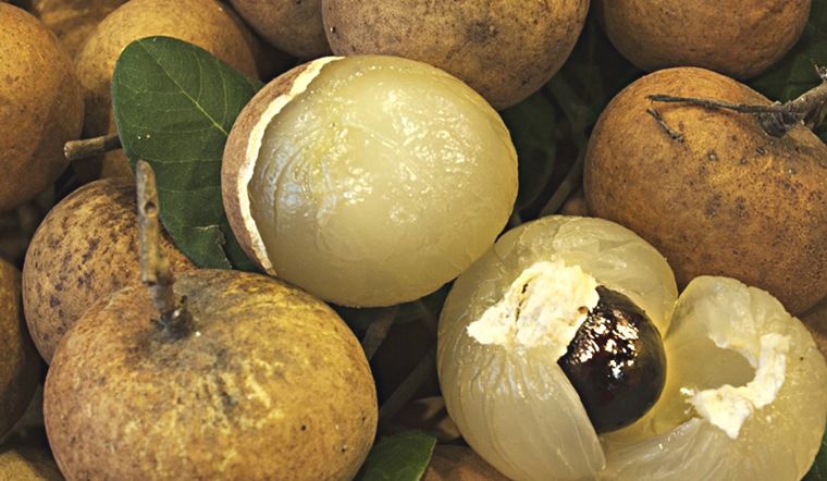 Loại nhãn có giá hơn 200.000 đồngkg nhưng vẫn bán cháy hàng