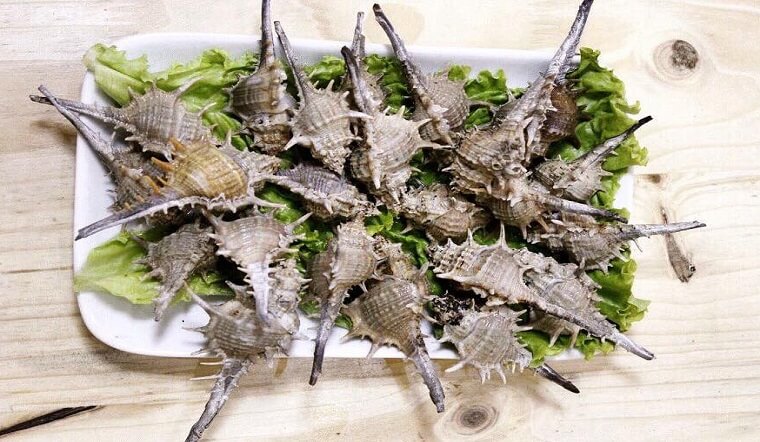 Loại ốc nổi tiếng Phú Quốc có hình dáng đặc biệt giá từ 270.000 đồngkg