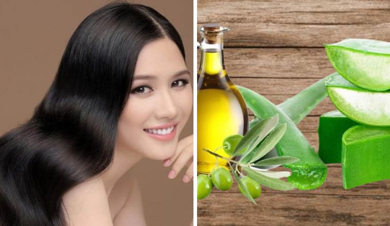 Mẹo hay dùng nha đam nấu cùng dầu olive giúp trị rụng tóc hiệu quả