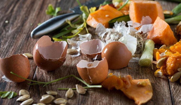 Rác hữu cơ là gì? Rác hữu cơ gồm những loại nào?