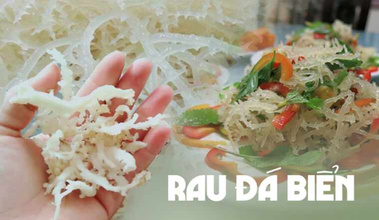 Rau đá biển - đặc sản được ví như lộc trời ban ở đảo Phú Quý có giá cực đắt đỏ