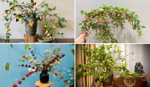 Xu hướng cắm cành quả quay trở lại, đủ loại độc lạ, cho mùa thu cực chill