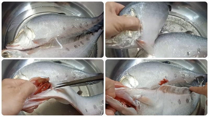 Làm sạch cá
