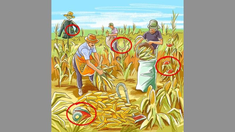 Câu trả lời thử tài tìm điểm bất hợp lý 3