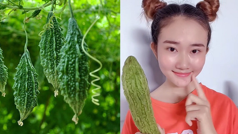 Serum khổ qua