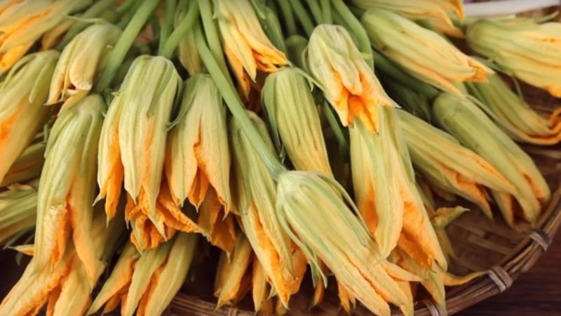 Hoa bí đỏ vừa có thể chế biến thành nhiều món ăn ngon