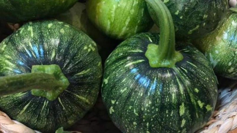Mua bí đỏ non ở đâu? Bao nhiêu tiền 1 kg?