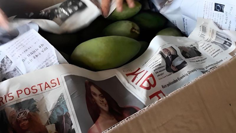 Cho xoài vào túi giấy hoặc báo