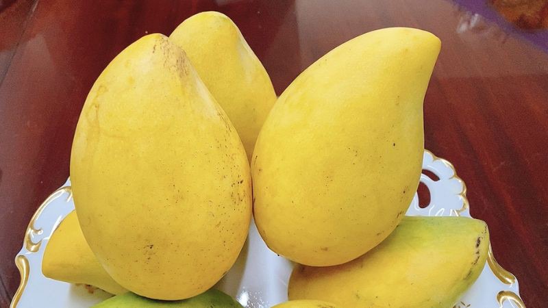 Giữ ở nhiệt độ phòng