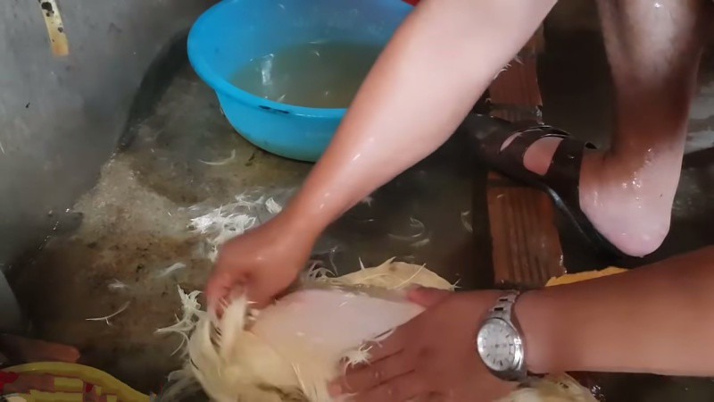 Cách làm sạch lông vịt nhanh