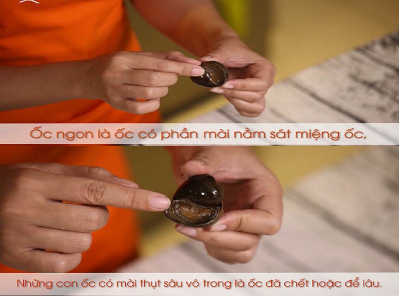 Bí quyết luộc ốc sạch, thịt ốc giòn và thơm chanh sả