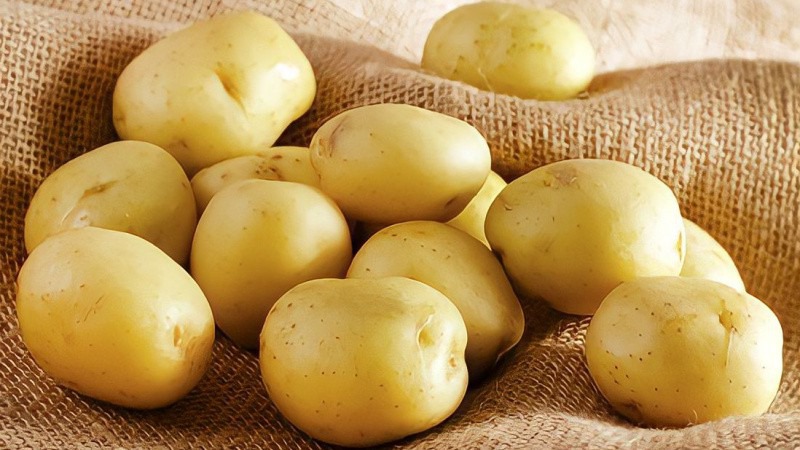 Công dụng giảm nếp nhăn vùng mắt của khoai tây