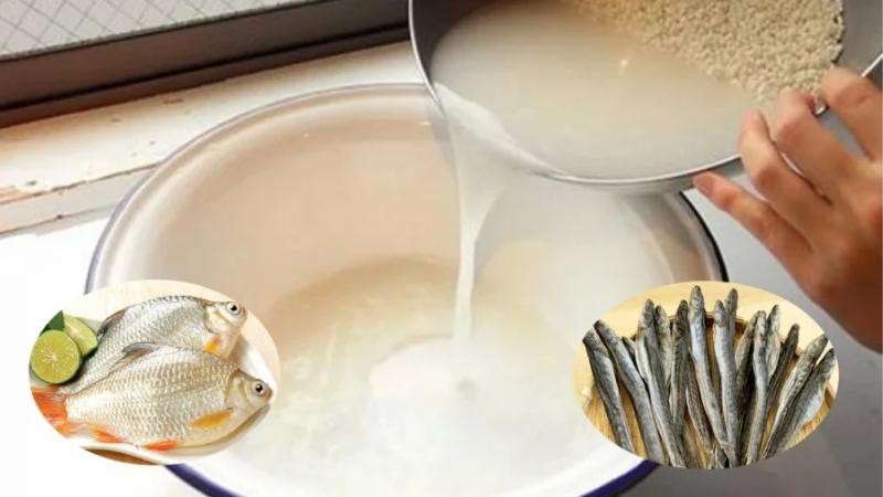 Dùng nước muối hoặc nước vo gạo