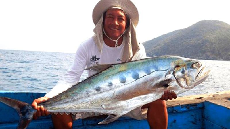 Cá bè Trang