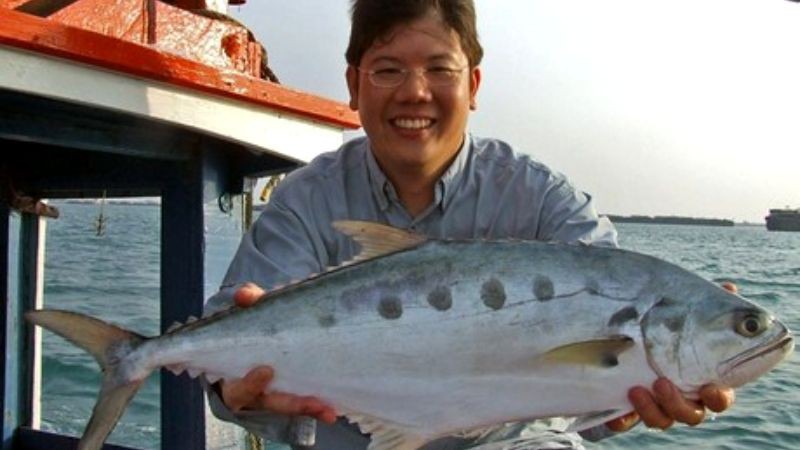 Cá bè Quỵt