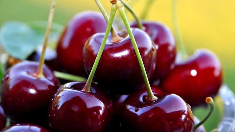 Quả cherry Úc có màu hơi đỏ tím, sáng bóng, to đều, thịt giòn