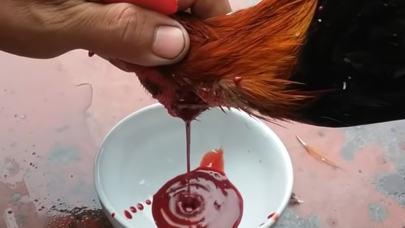 Dùng tô sạch hứng tiết