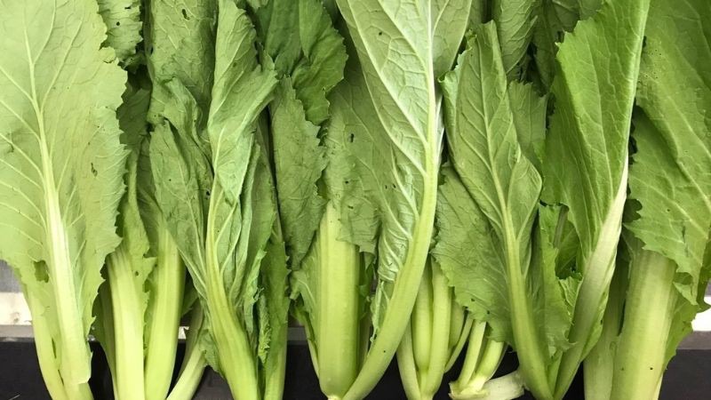 Giá trị dinh dưỡng của cải bẹ xanh