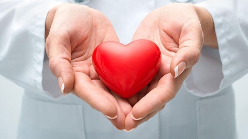 Cải bẹ xanh rất tốt cho tim mạch
