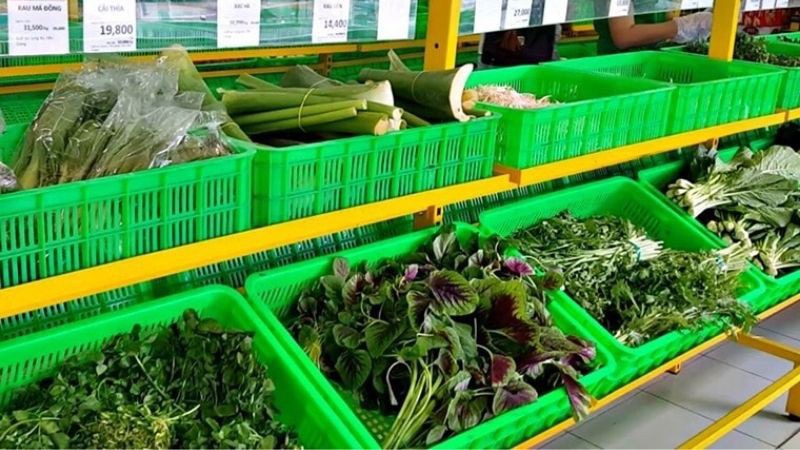 KhaiStore.vn: Đại siêu thị bán cải ngọt giá tốt nhất