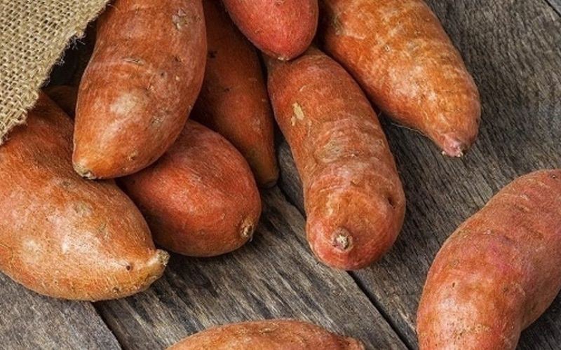 Tác dụng của khoai lang đối với sức khỏe