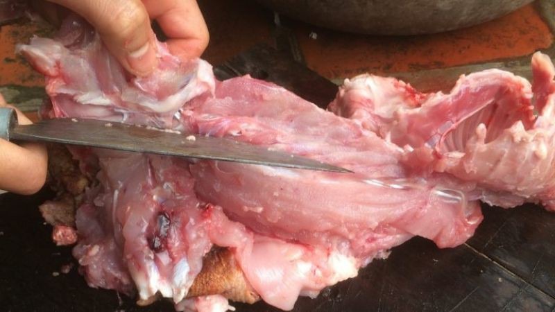 Sơ chế thịt thỏ thật sạch