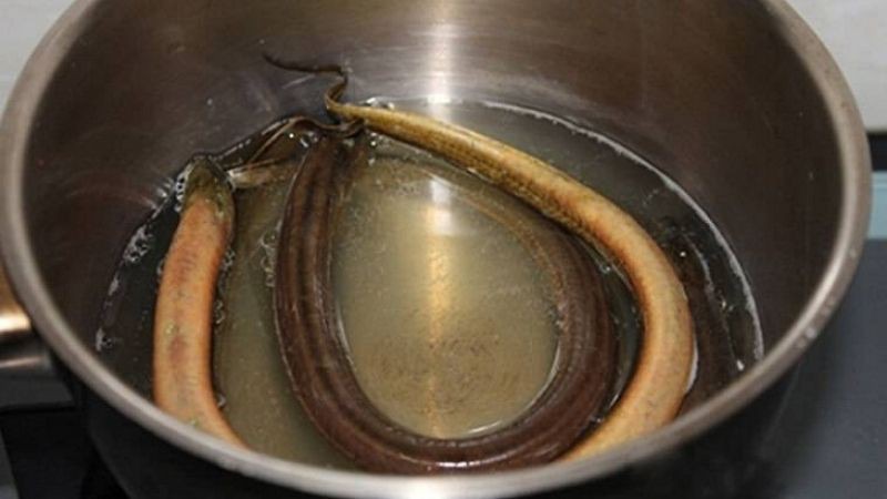 Khử mùi tanh của thịt lươn