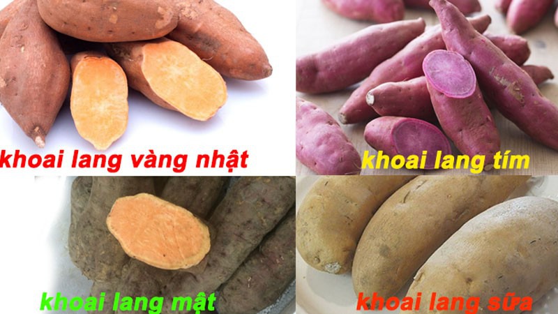 Cách phân biệt khoai lang mật với các loại khoai lang khác