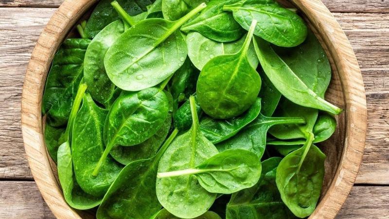 Giá trị dinh dưỡng của rau mồng tơi