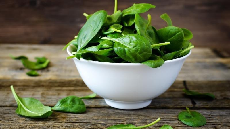 Rau mồng tơi nên giữ lạnh trước khi chế biến