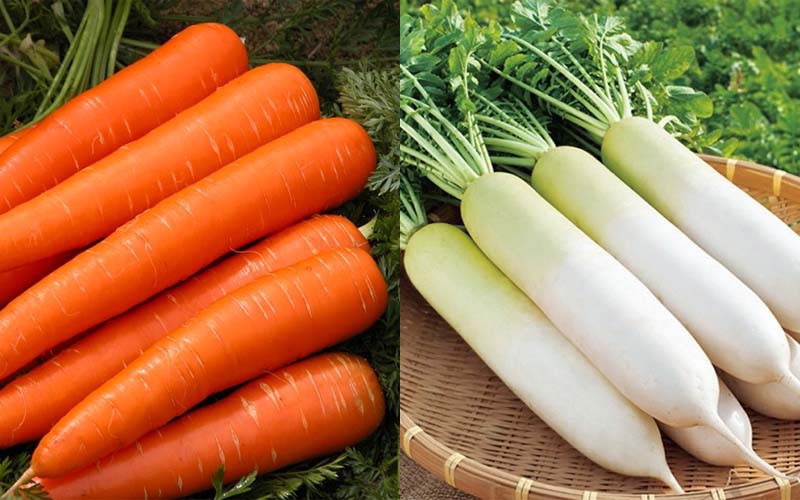 Các loại củ cải