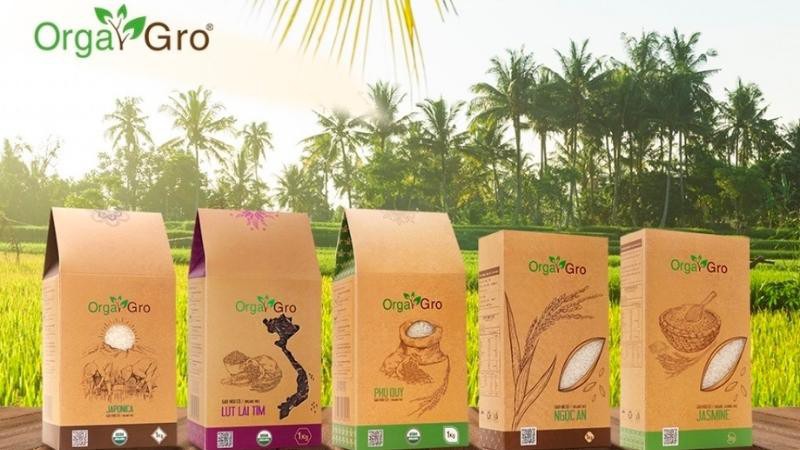 Gạo hữu cơ OrgaGro