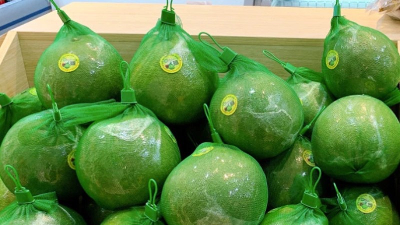 Bảo quản bưởi bằng túi lưới