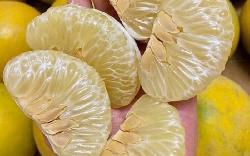 Bảo quản bưởi diễn