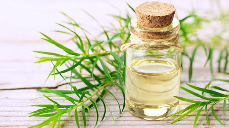 Tinh dầu tràm trà