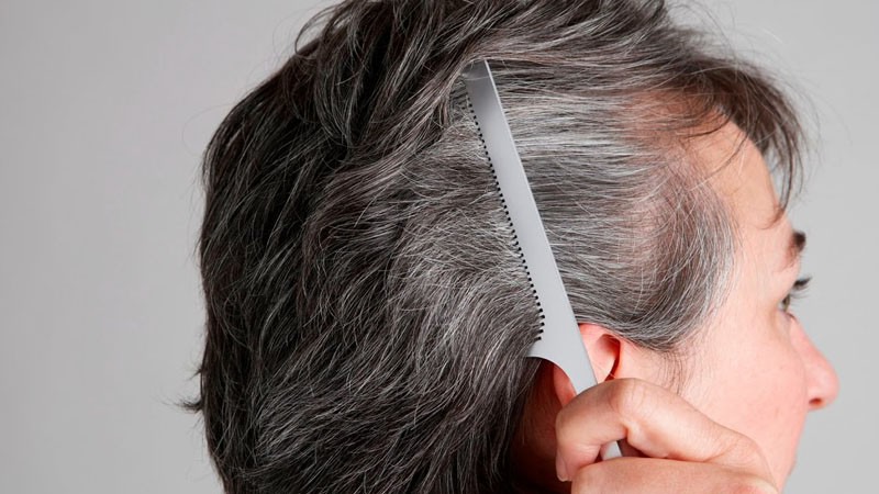 Hà thủ ô trị tóc bạc sớm