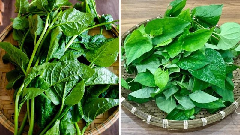 Mồng tơi và diếp cá