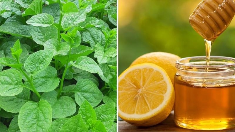 Mồng tơi, mật ong và chanh