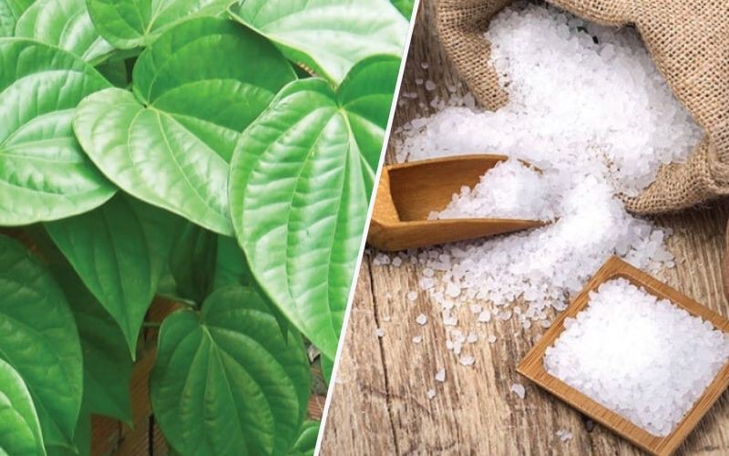Mẹo hay dùng lá trầu không chữa hôi nách, vừa rẻ vừa hiệu quả nhanh