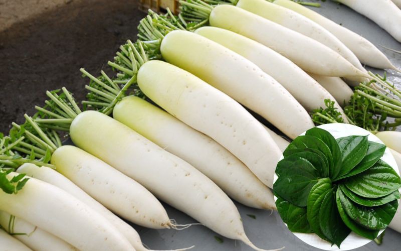 Trị hôi nách với lá trầu không và củ cải trắng