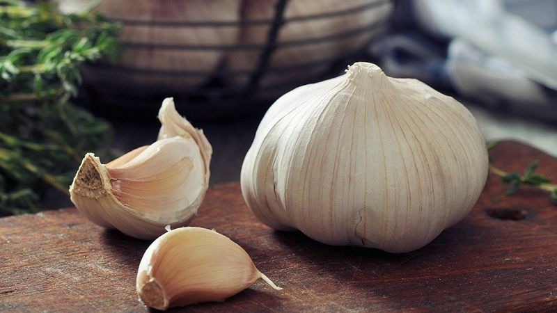 Tỏi chứa nhiều chất kháng sinh allicin