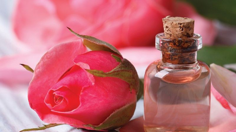 Hoa hồng có tác dụng cấp ẩm, chống viêm, giảm khô da