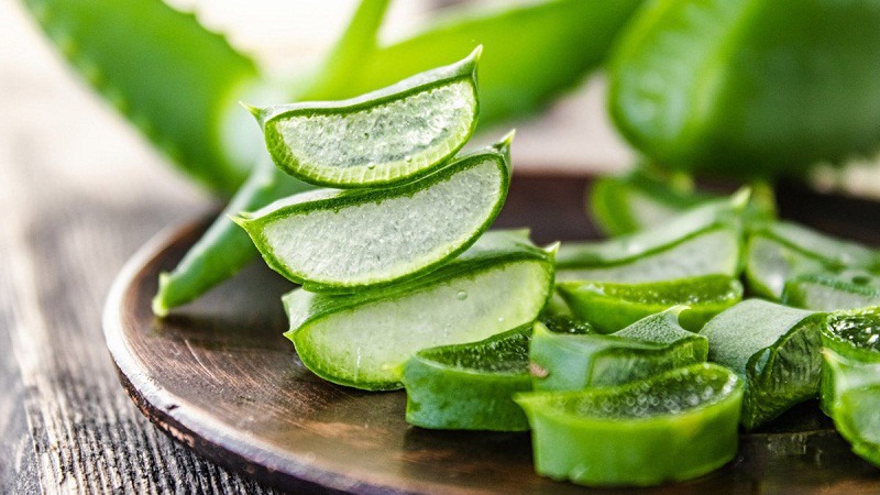 Dùng nha đam để trị mụn nhọt