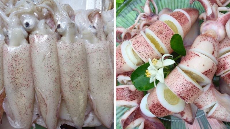 Mực trứng đánh bắt nhiều nhất từ tháng 2 đến tháng 5