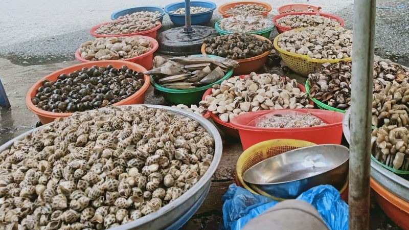 Địa chỉ mua ốc đỏ