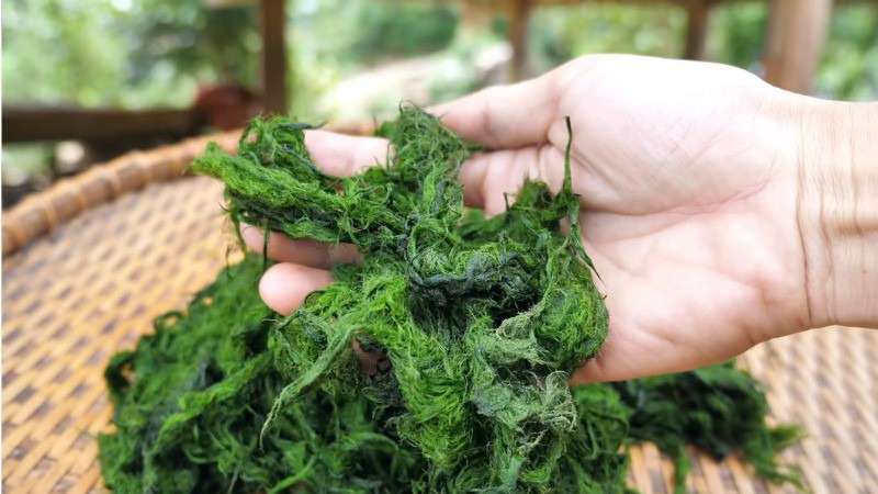 Rêu đá là một trong những đặc sản của vùng Tây Bắc