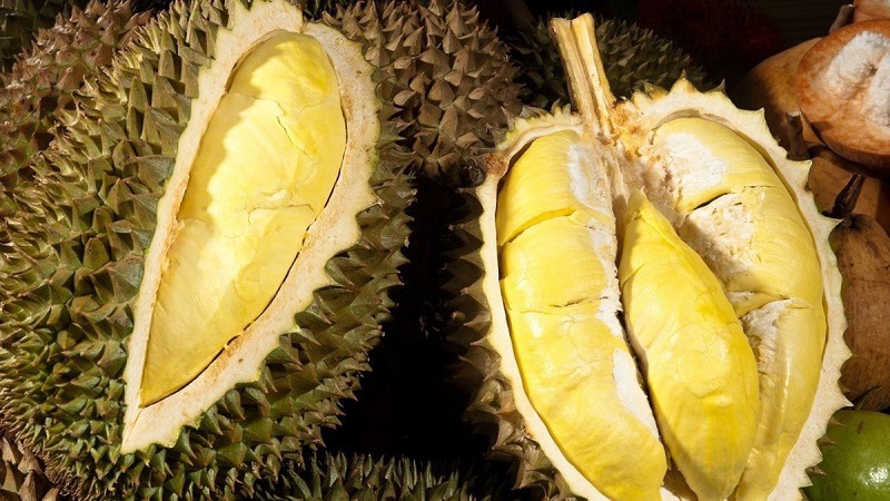 Sầu riêng khổ qua thơm ngon
