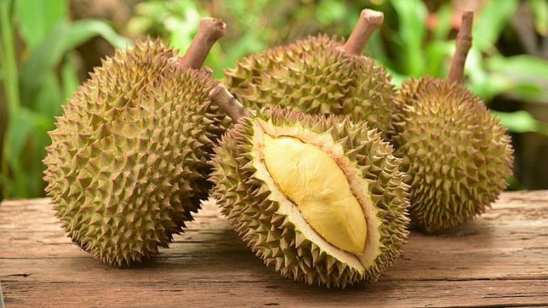 Vì sao lại gọi là sầu riêng Musang King?