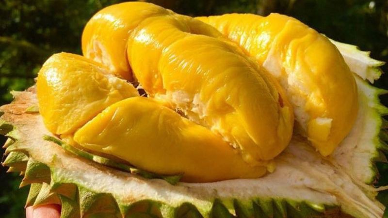 Sầu riêng Musang King có ngon không?